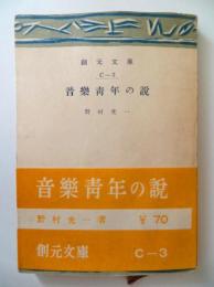 音楽青年の説