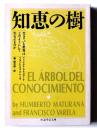 知恵の樹 