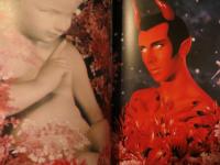 Pierre et Gilles  LA CREATION DU MONDE   ピエール&ジル作品集