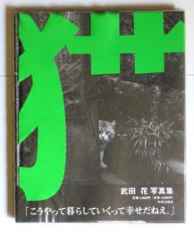 猫 : Tokyo wild cats