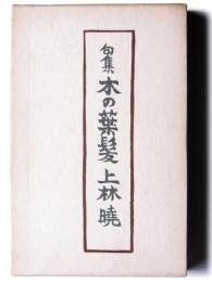 木の葉髪 : 句集