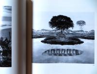 Jerry N. Uelsmann : Silver Meditations
