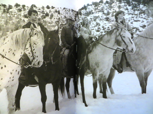 Ricky Lauren Double RL Ranch 写真集 Ricky Lauren : Cuisine, Lifestyle, and Legend of the Double RL
