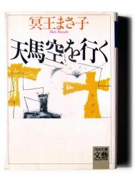 天馬空を行く 