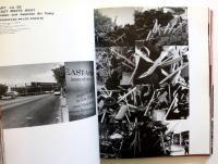 Reversing reality :  逆流する現実　殿敷侃　Tadashi Tonoshiki