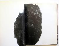 Reversing reality :  逆流する現実　殿敷侃　Tadashi Tonoshiki