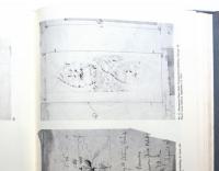 The Drawings of Louis Henry Sullivan
