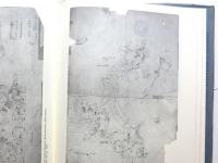 The Drawings of Louis Henry Sullivan