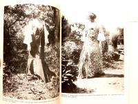 Druber und drunter: Wiener Damenmode von 1900 - 1914 　(ウィーンレディースファッション1900-1914年)