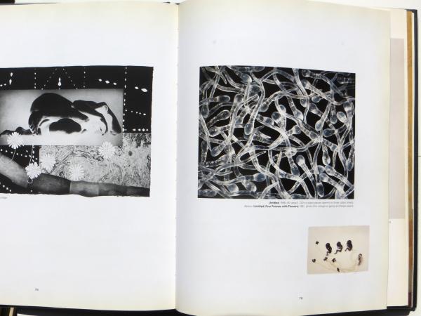 キキ・スミス【Kiki Smithi】 古書古本 dessin：Kiki Smith: A Gathering, 1980- 2005（キキ・スミス