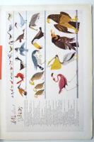 GEBRAUCHSGRAPHIK ゲブラウフス・グラフィーク 1955年1月号