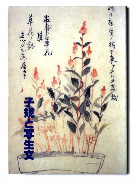 子規と写生文(正岡子規(著)、松山市立子規記念博物館(編)) / 古本