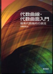 代数曲線・代数曲面入門: 複素代数幾何の源流