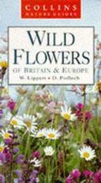 Wild Flowers (Collins Nature Guide)