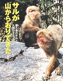 サルが山からおりてきた: 屋久島のサルと人間のチエくらべ (ポプラ社いきいきノンフィクション 8)