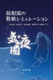混相流の数値シミュレーション