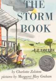 The Storm Book: A Caldecott Honor Award Winner