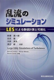 乱流のシミュレーション―LESによる数値計算と可視化