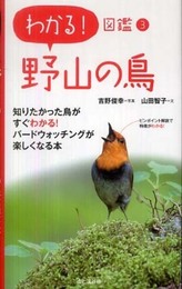 野山の鳥 (わかる!図鑑3)