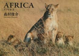 AFRICA―アフリカII