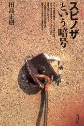 スピノザという暗号 (クリティーク叢書 21)