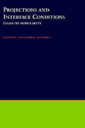 Projections and Interface Conditions: Essays on Modularity