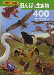 田んぼの生き物400 (ポケット図鑑)
