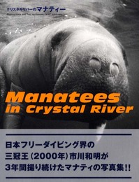 クリスタルリバーのマナティー