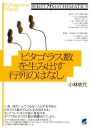 ピタゴラス数を生み出す行列のはなし (Beret mathematics)