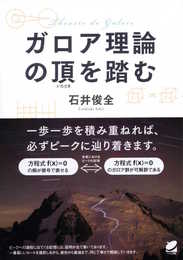ガロア理論の頂を踏む (BERET SCIENCE)