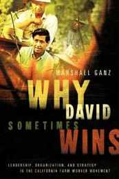 Why David Sometimes Wins: Leadership Organization and Strategy in the California Farm Worker Movement