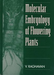 Molecular Embryology of Flowering Plants