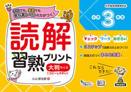 読解習熟プリント 小学3年生 大判サイズ