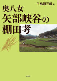奥八女 矢部峡谷の棚田考