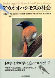 アカオオハシモズの社会