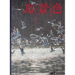 鳥景色: 写真集