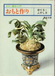 おもと作り―育て方・ふやし方 (カラー園芸入門)