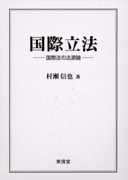 国際立法: 国際法の法源論
