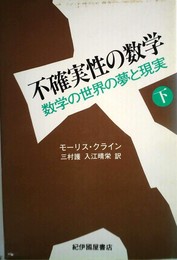 不確実性の数学: 数学の世界の夢と現実 (下)