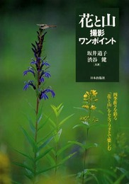 花と山撮影ワンポイント: 四季折々を彩る花と山をセルフ・フォトで楽しむ