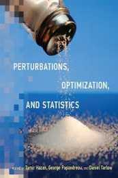 Perturbations Optimization and Statistics (Neural Information Processing series)
