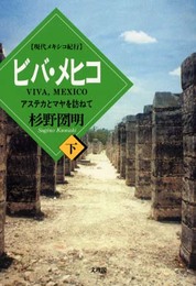 ビバ・メヒコ 下: 現代メキシコ紀行
