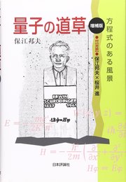 量子の道草 増補版: 方程式のある風景 付対談保江邦夫×桜井進