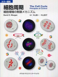 カラー図説 細胞周期