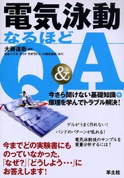 電気泳動なるほどQ&A: 今さら聞けない基礎知識+原理を学んでトラブル解決!