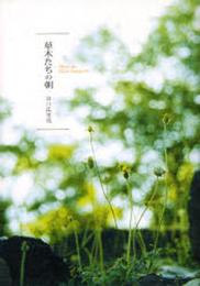 草木たちの朝