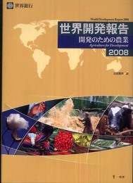 世界開発報告 2008