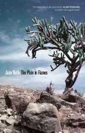 The Plain in Flames / El Llano en Llamas (Joe R. and Teresa Lozano Long Series in Latin American and Latino Art and Culture)