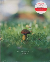 beautiful days (表紙：きのこバージョン）