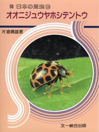 オオニジュウヤホシテントウ (日本の昆虫 10)